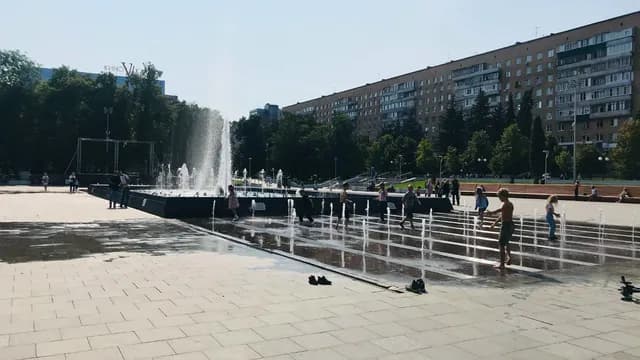 Три совы, изъятые у уличных фотографов в Пензе, находятся в тяжелом состоянии