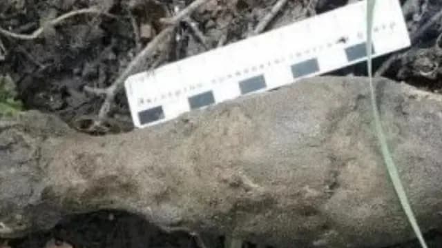 На кладбище под Пензой нашли артиллерийский снаряд времён войны