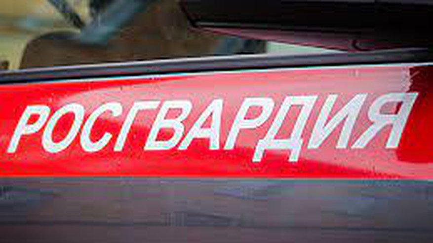 Главная картинка новости: Пензенские сотрудники Росгвардии помогли потушить автомобиль