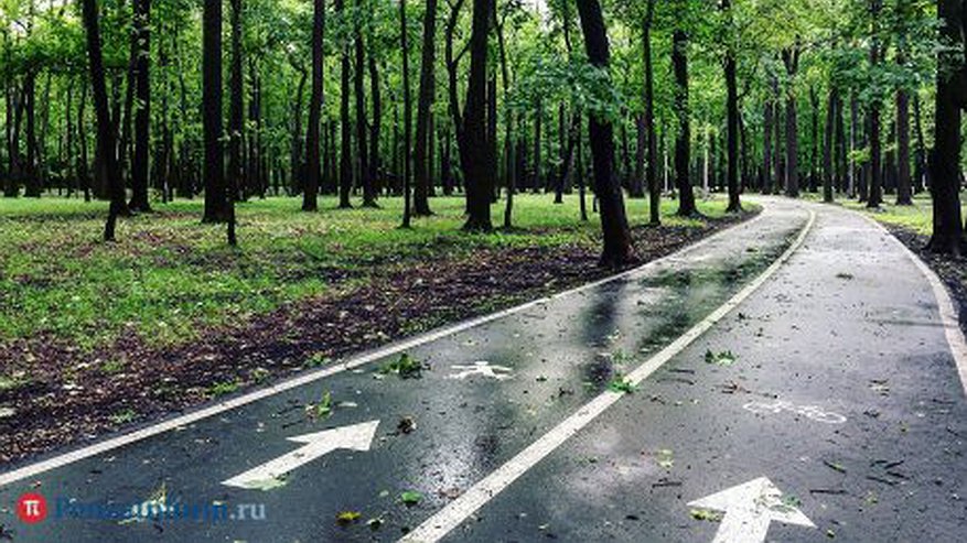 Главная картинка новости: В Пензе на Олимпийской аллее хотят открыть общественный туалет