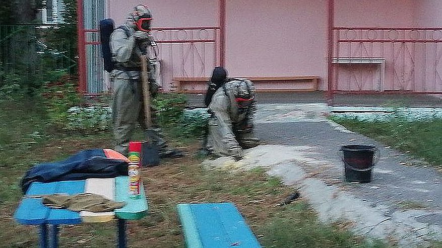 Главная картинка новости: В Пензе спасатели ликвидировали осиное гнездо на территории садика