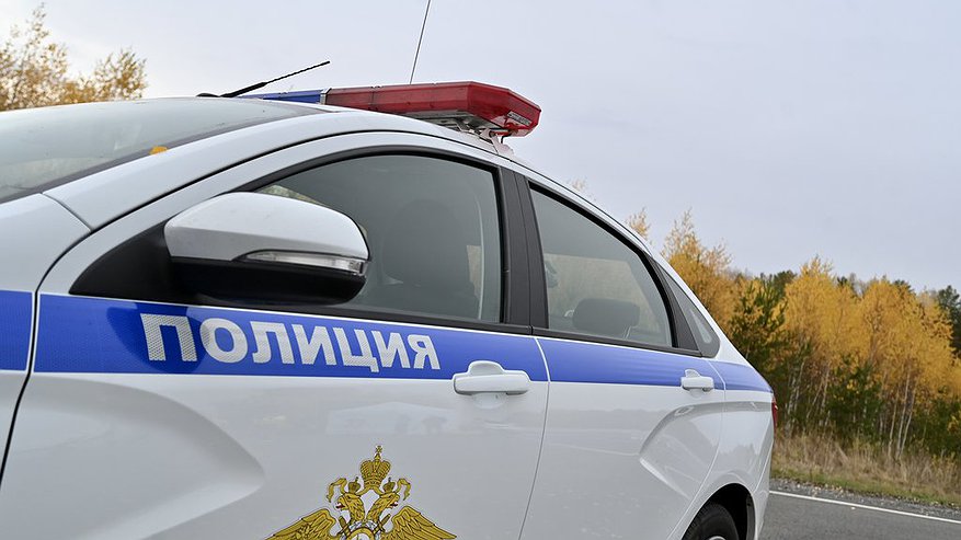 Главная картинка новости: В Пензенской области задержали курьера-закладчика с 2 кг мефедрона