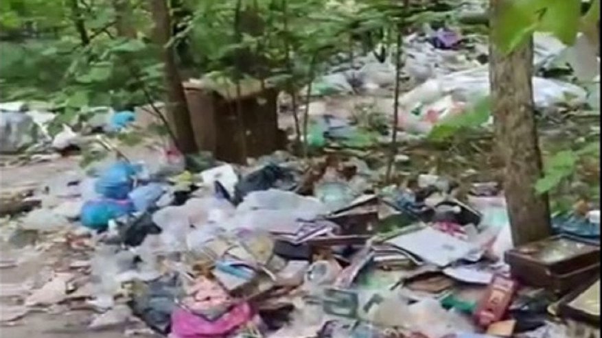 Главная картинка новости: В Арбековском лесу Пензы обнаружили свалку с иконами и нательными крестами