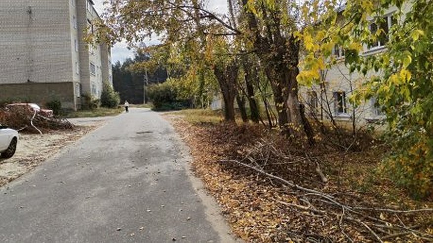 Главная картинка новости: Администрация Никольска пообещала до конца осени убрать поваленные после урагана деревья