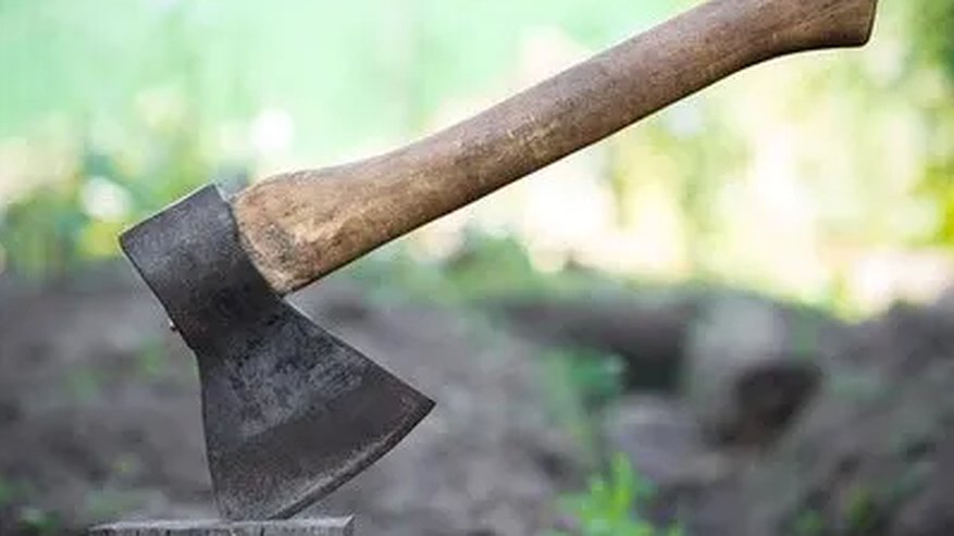 Главная картинка новости: В Пензе пенсионерка схватила топор и угрожала убийством возлюбленной своего сына