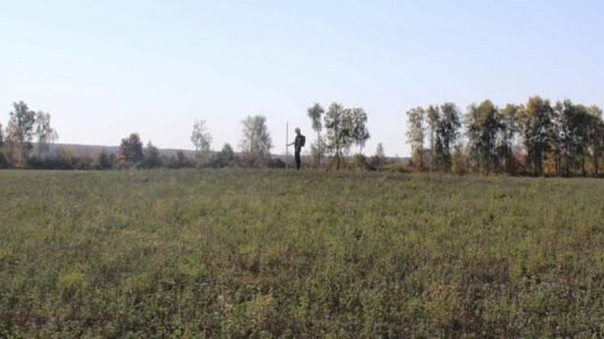 Главная картинка новости: В Пензенской области археологи обнаружили древние курганы возрастом более 4 тысяч лет