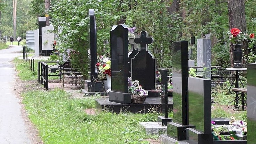 Главная картинка новости: В Пензе задержали вандала, который разгромил кладбище