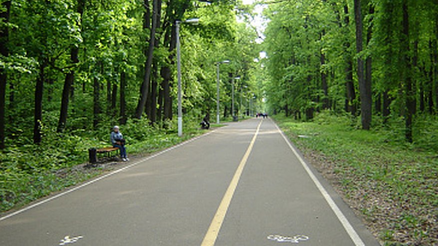 Главная картинка новости: С 5 октября в Пензе Олимпийская аллея будет закрыта для посещения