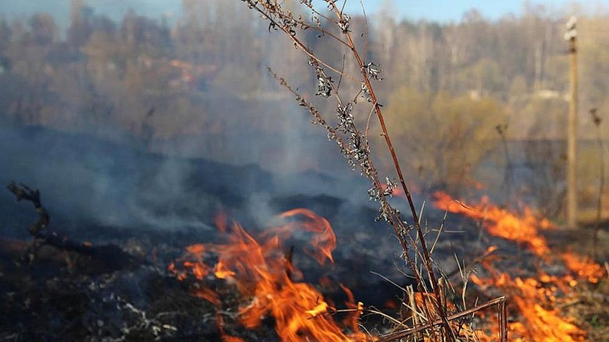 Главная картинка новости: 5 октября в Пензе ожидается чрезвычайная пожарная опасность