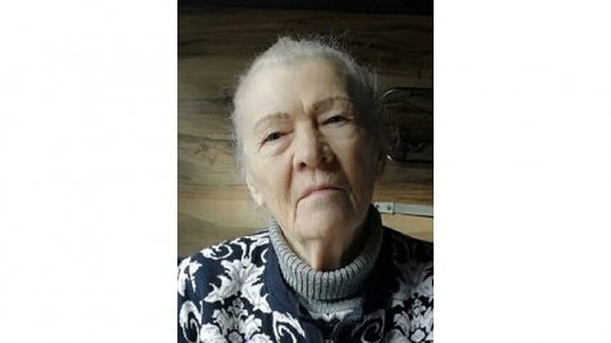 Главная картинка новости: В Пензе пропавшую 8 октября 81-летнюю пенсионерку нашли живой
