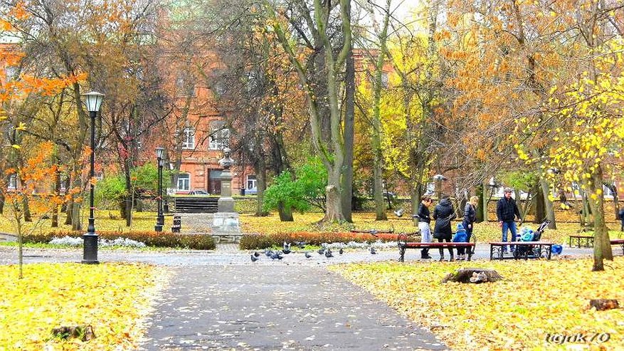 Главная картинка новости: 11 октября на территории Пензенской области синоптики прогнозируют облачную погоду без осадков