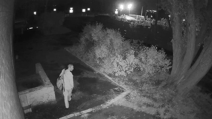 Главная картинка новости: В Засечном мужчина пытался изнасиловать 28-летнюю девушку