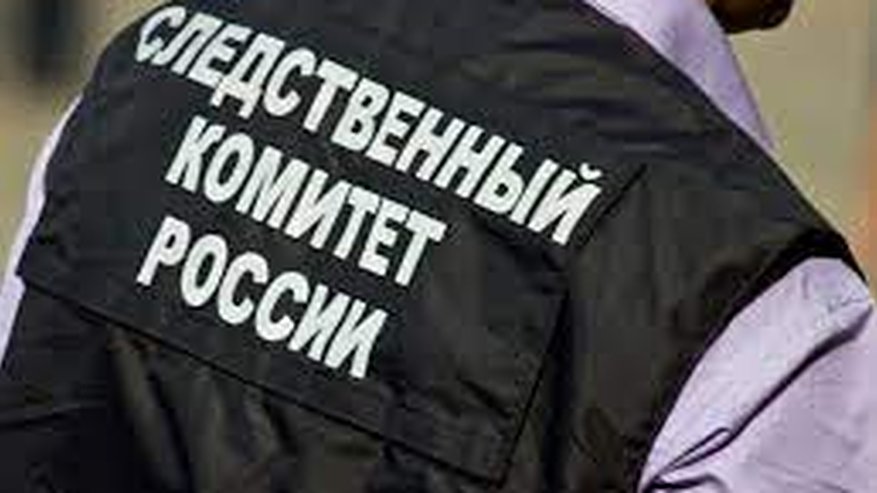 Главная картинка новости: В Пензе следователи организовали проверку по факту падения несовершеннолетней девушки из окна многоэтажки
