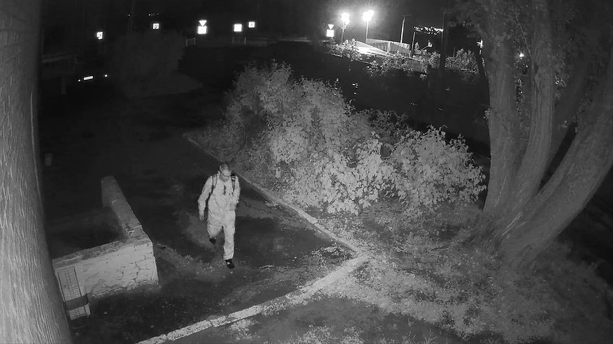 Главная картинка новости: В Пензенской области задержали мужчину, который пытался изнасиловать 28-летнюю девушку