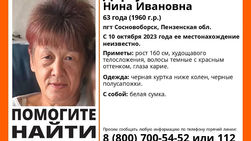 Главная картинка новости: В Пензенской области разыскивают пропавшую 63-летнюю женщину