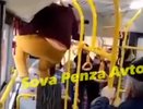 Вышедшую в окно автобуса пензячку привлекут к ответственности