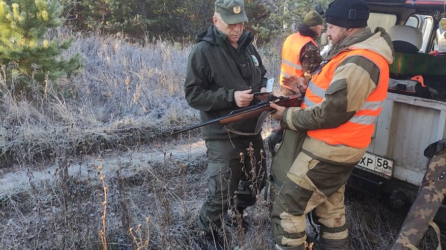 За минувшие выходные в Сурском крае выявили два нарушения охотничьго законодательства