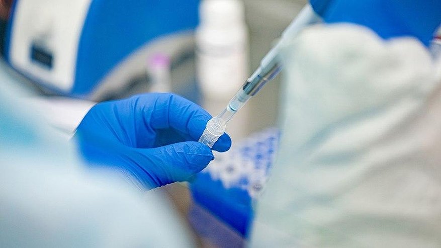 Главная картинка новости: За неделю в Пензенской области выявили 245 новых случаев заражения COVID-19