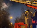 Сотрудники МЧС Пензы сняли с дерева двух мужчин и кота