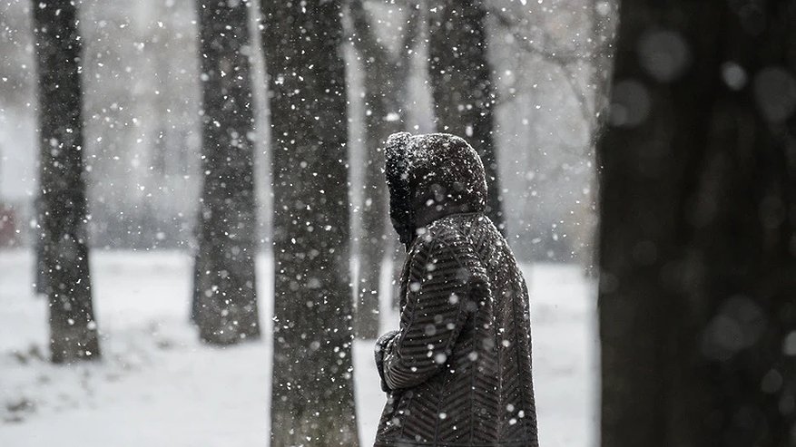 Главная картинка новости: 23 ноября на территории Пензенской области снова будет идти снег