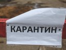 В Пензенской области в двух населенных пунктах установили карантин по бешенству