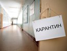 В Пензенской области на карантин по ОРВИ закрыли 79 классов