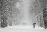 2 декабря в Пензе ожидается сильный снегопад