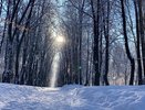 3 декабря в Пензе ожидается снегопад и до -6°C