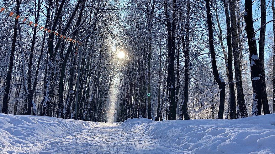 3 декабря в Пензе ожидается снегопад и до -6°C