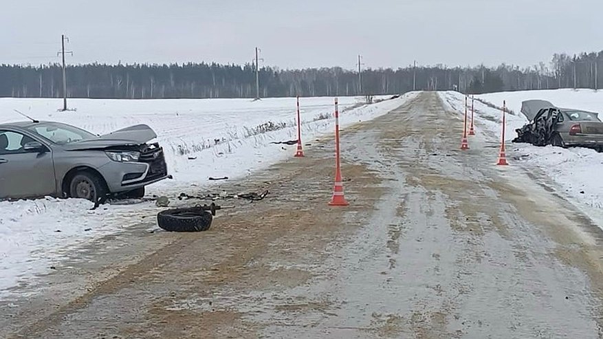 ДТП в Лопатинском районе унесло жизнь пенсионера