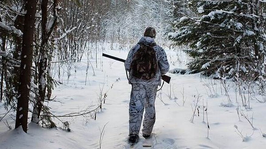 Пензенец за незаконную охоту лишился свободы, денег и снегохода