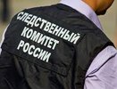 Старик-извращенец изнасиловал и оставил беременной свою 14-летнюю внучку из Пензы