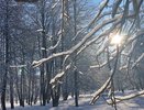 В Пензенском Гидрометцентре прокомментировали большое количество снега