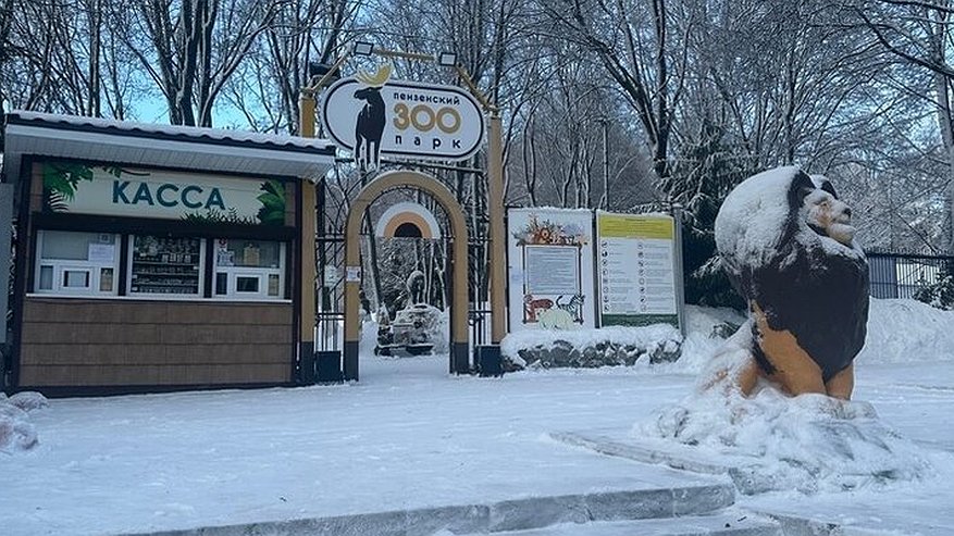Главная картинка новости: Пензенцам рассказали появится ли жираф в местном зоопарке