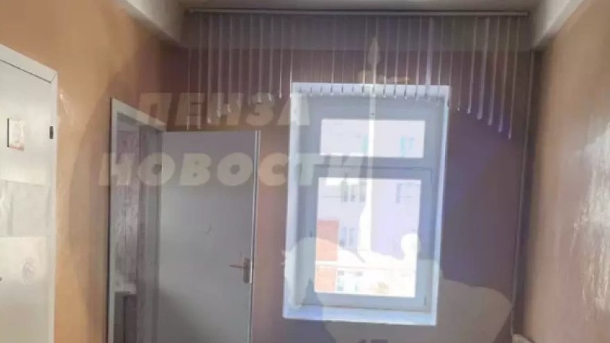 Главная картинка новости: В Пензе в школьном туалете засняли на видео бегающего таракана