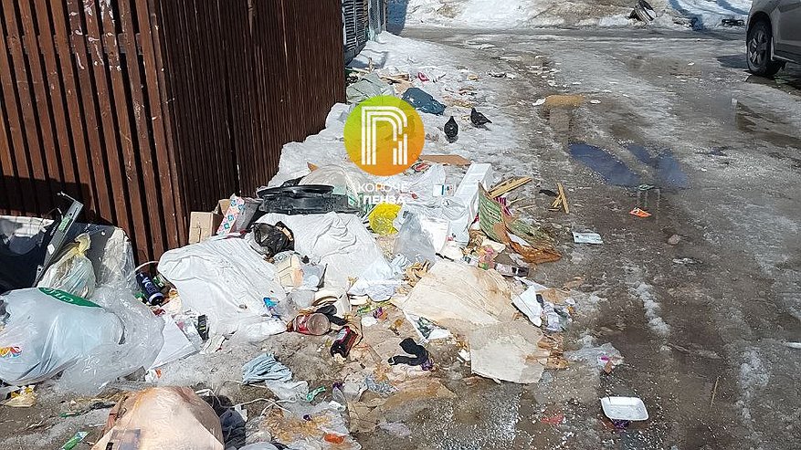 В Пене возле детской поликлиники №8 не вывозят мусор