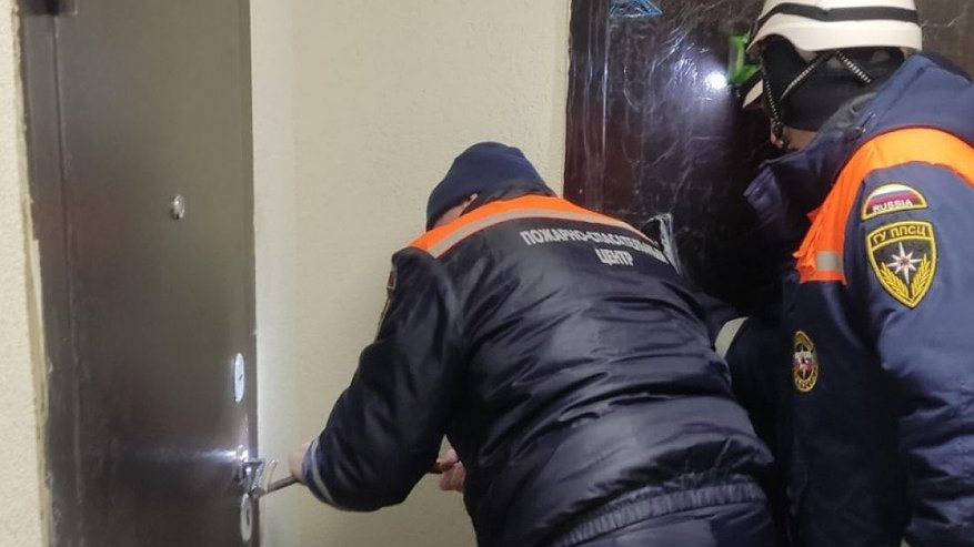 Главная картинка новости: Пензенские спасатели помогли пенсионерке получить неотложную помощь
