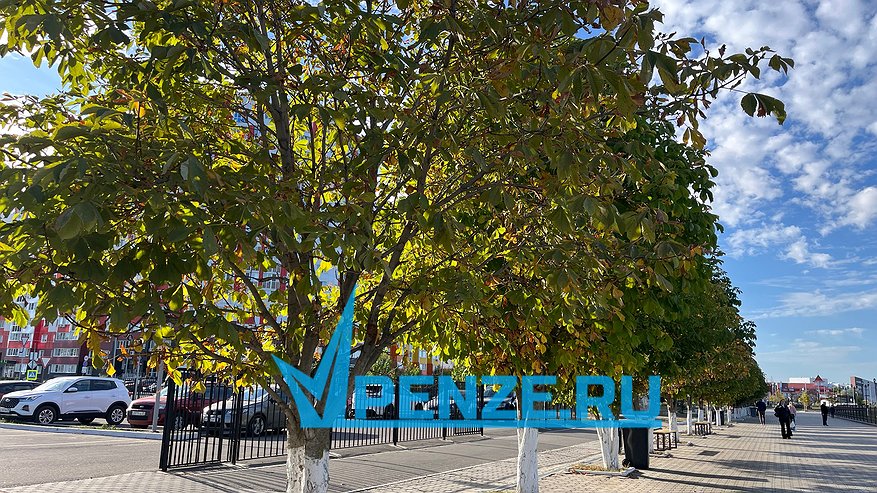 Главная картинка новости: В Пензенской области отмечается всплеск аболеваемости ОРВИ
