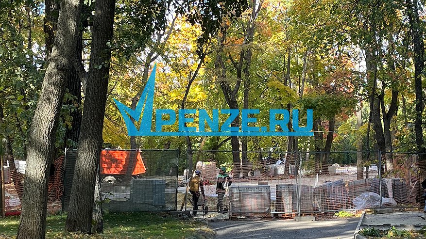 Главная картинка новости: В Пензе выкладывают плитку в парке Белинского