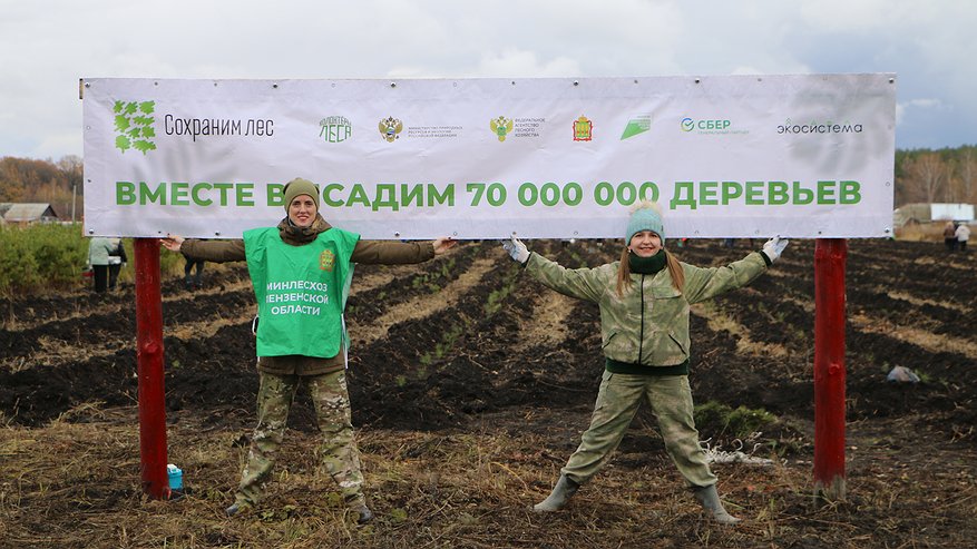 Главная картинка новости: В Пензенской области высадили 30 тысяч деревьев