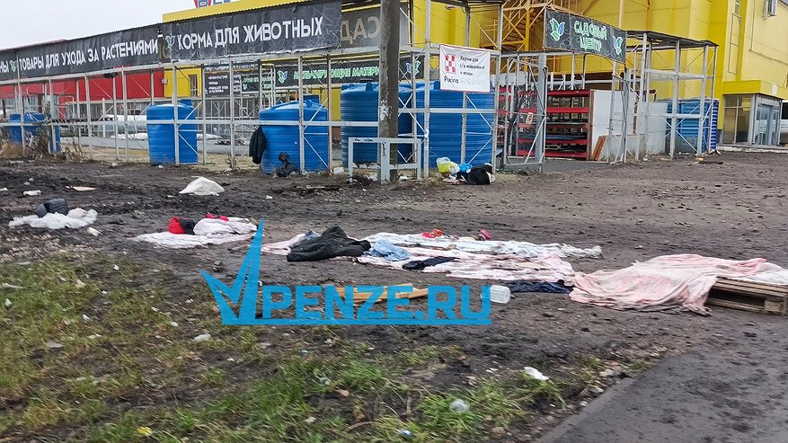 Главная картинка новости: Продавцы стихийного рынка в Пензенском районе устроили свинарник у ТЦ «Ритэйл»