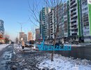 Жители Засечного вынуждены словно сурикаты высматривать транспорт из-за отсутствия остановки и возникших препятствий