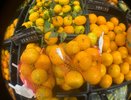 Становимся волшебниками: делаем из кислых мандаринов очень сладкие