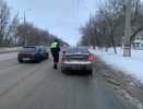 Тех, кто за рулём, предупредили: с 1 января за сбитое животное накажут так, что мало не покажется