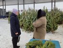 В Железнодорожном районе проверили работу елочных базаров