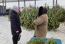 Миниатюра новости: В Железнодорожном районе проверили работу елочных базаров
