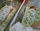 В начале 2025 года в Кузнецке появилось на свет пять малышей