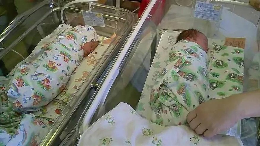 Главная картинка новости: В начале 2025 года в Кузнецке появилось на свет пять малышей