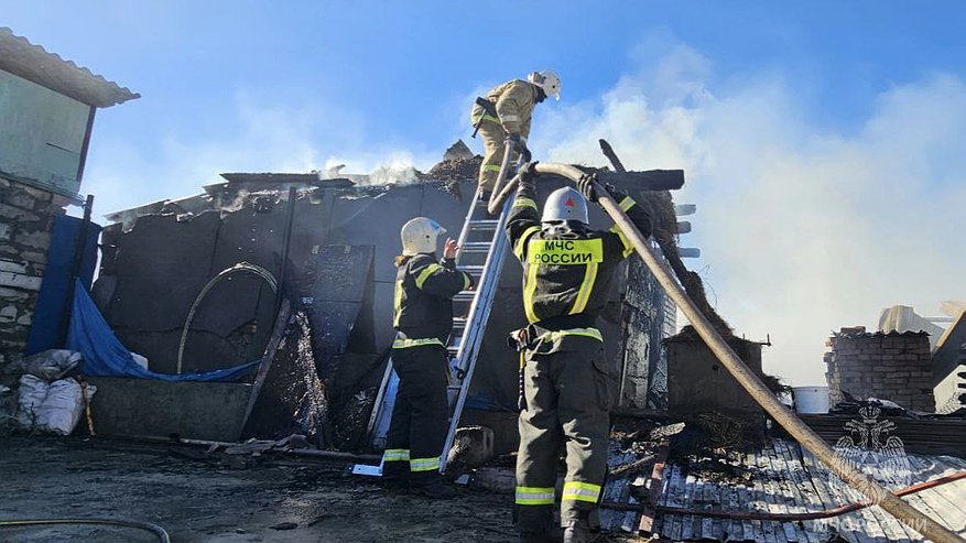 Главная картинка новости: При пожарах в Пензенской области погибли 87 человек в 2024 году