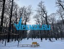 Стало известно, как оформить электронный охотничий билет